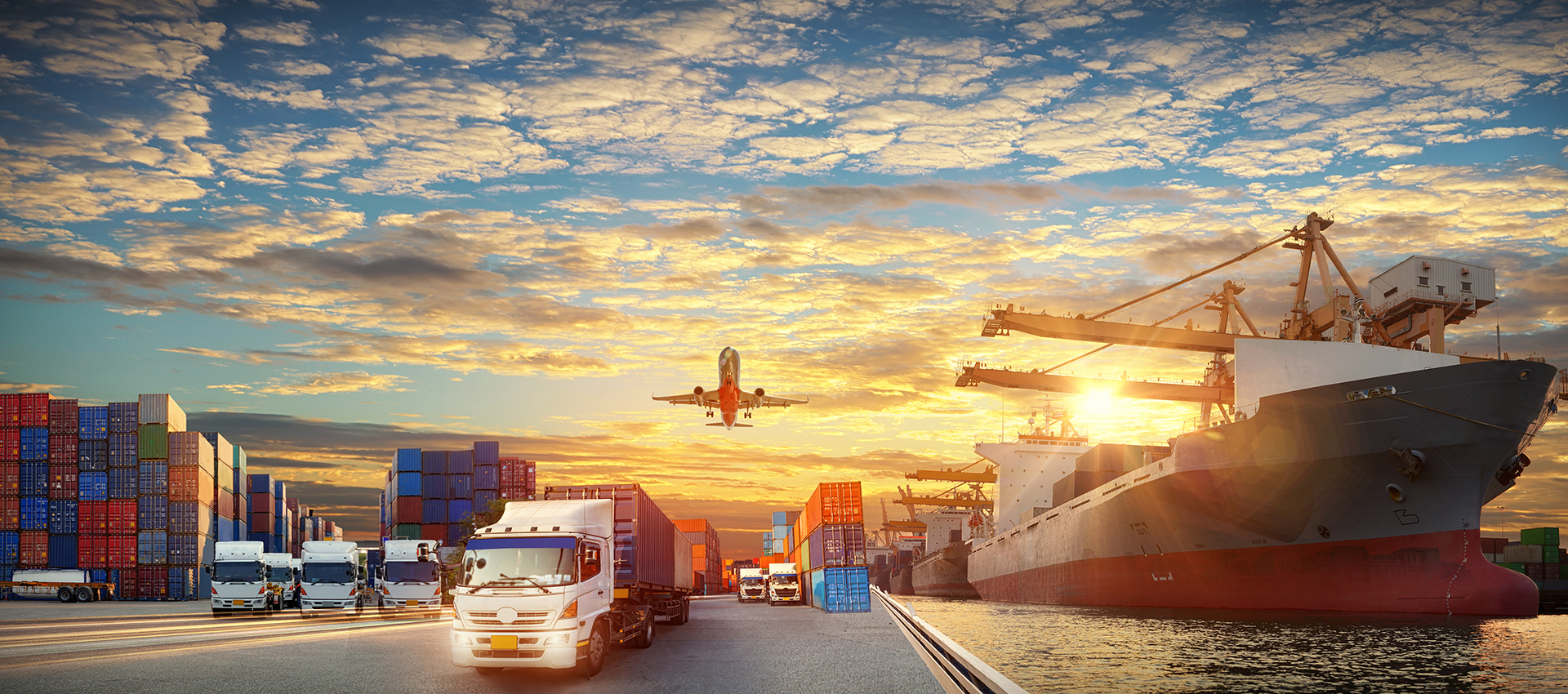 一站式集運服務專家